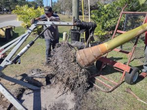 Tree Mitigation in Largo, FL