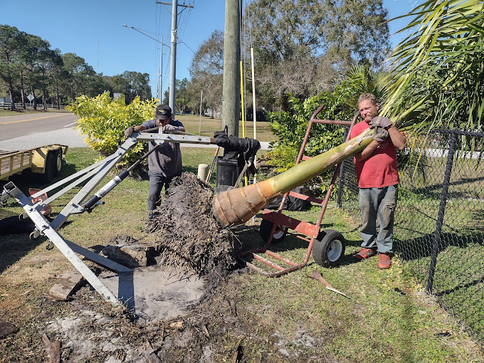 Garden Services in Largo, FL