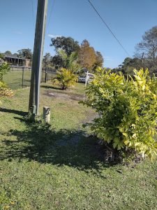 Emergency Tree Services in Largo, FL