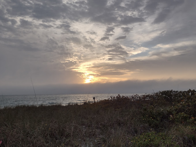 Land Clearing and Excavation in Largo, FL