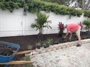 Tree Mitigation in Largo, FL