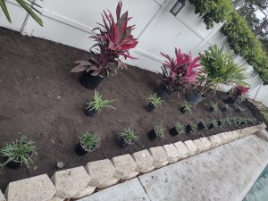 Garden Services in Largo, FL