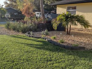 Garden Services in Largo, FL