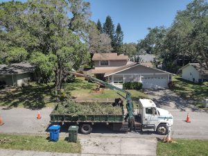 Garden Services in Largo, FL