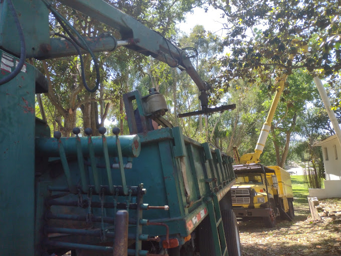 Emergency Tree Services in Largo, FL