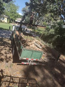 Land Clearing and Excavation in Largo, FL