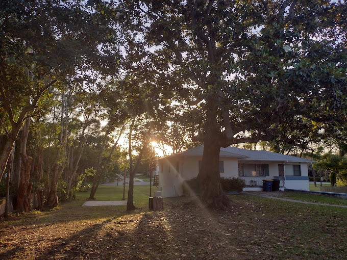 Tree Pruning in Largo, FL